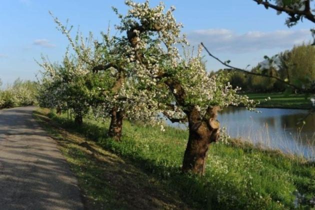 Bed & Breakfast De Neust Beesd エクステリア 写真